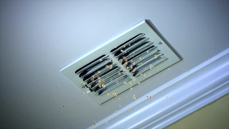 Best Affordable HVAC Duct Cleaning  in Bayou Cane, LA