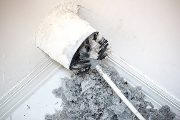 Best Air Duct Cleaning Company Near Me  in Bayou Cane, LA